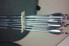 Easton Platinum Plus XX75 Arows