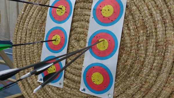 FITA 3 Spot Vertical 40cm Target