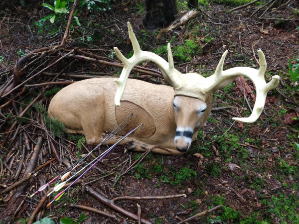 Sitting Buck Target