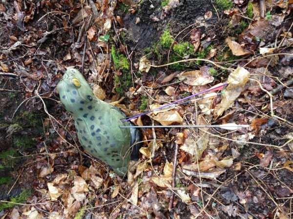 Poisonous Frog