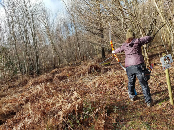 Louise shooting a rabbit target